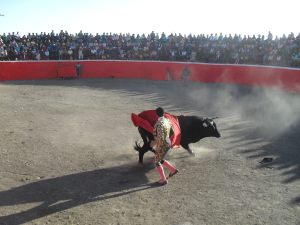Corrida de toros en la festividad patronal de huarochirí.